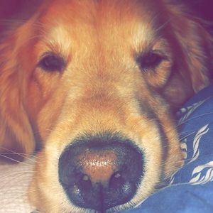 Meet your Posher, Caroline